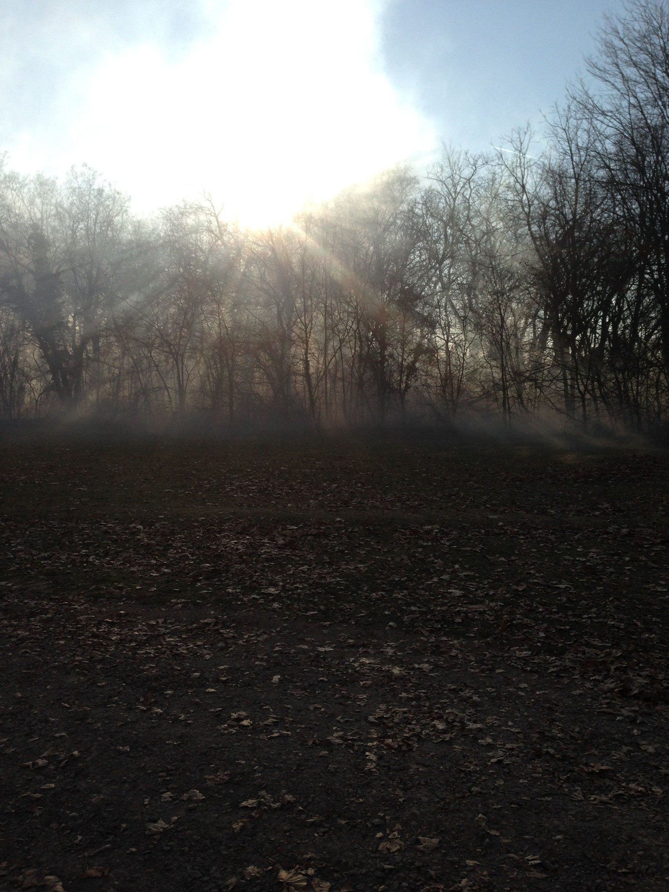 We pumped in mist to fill the woods for a party scene.